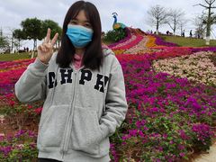 -东莞植物园