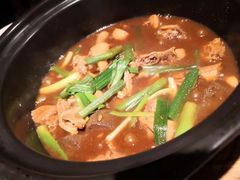 红焖温泉乡鹅-昌隆•家家鹅乡•海南菜老字号(琼海店)