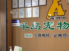 -半岛宠物医院24小时·内窥镜·牙科·碎石中心(府城大道店)