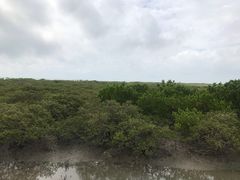-北海金海湾红树林生态旅游区