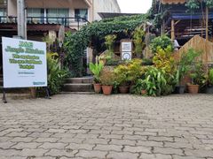 -Jungle Kitchen