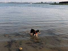 -郑东新区龙湖公共艺术中心