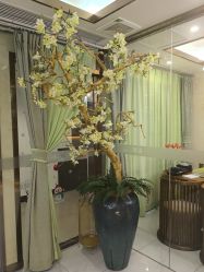 -芳朵美容养生SPA