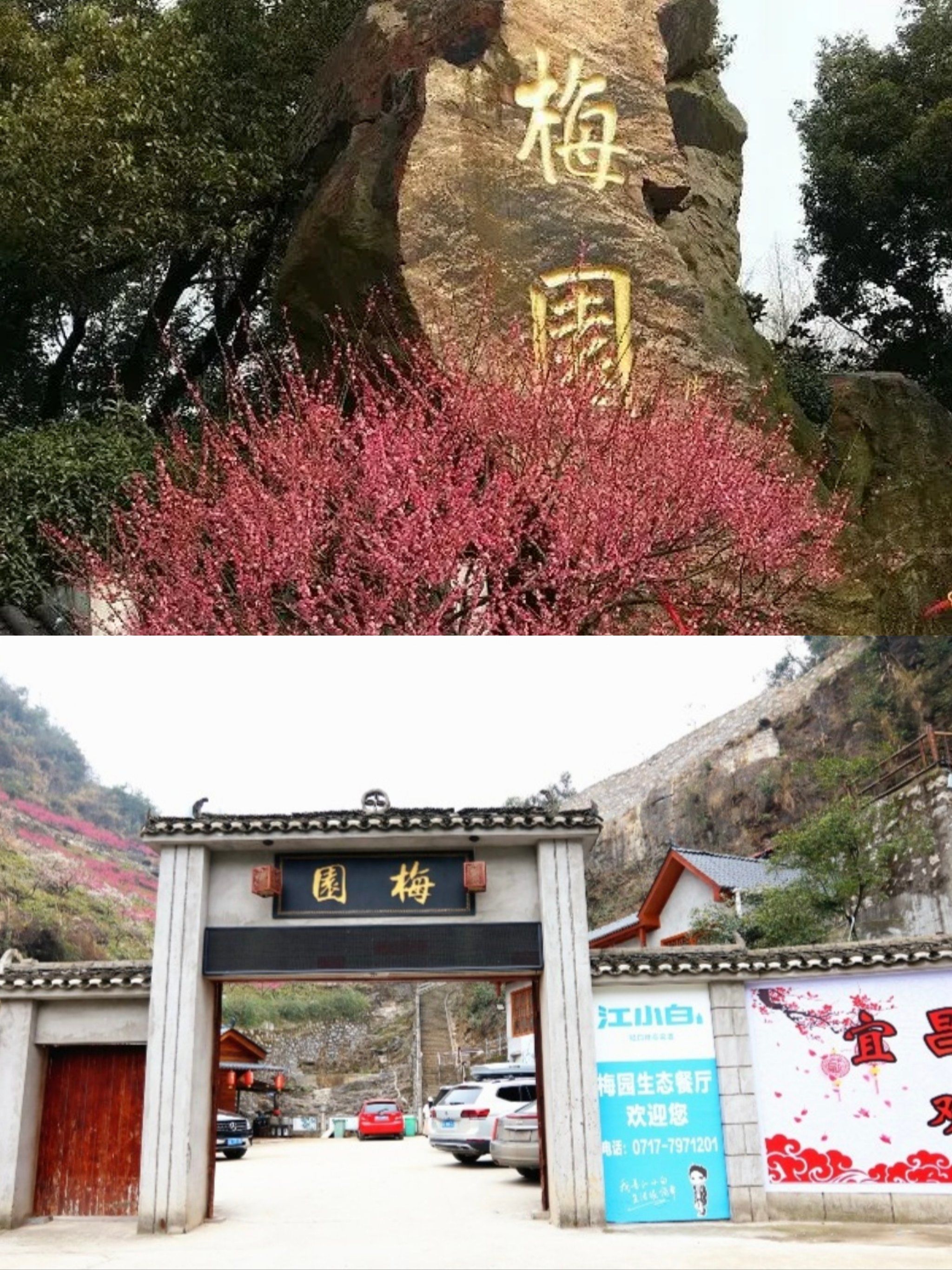 春日来信,下牢溪梅园开启限定浪漫