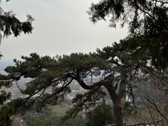 -北京西山国家森林公园