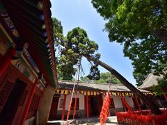 -少华山国家森林公园