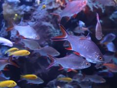 -成都浩海立方海洋公园