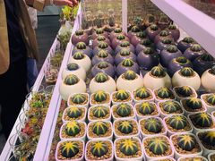 -KKV(深圳宏发大仟里店)