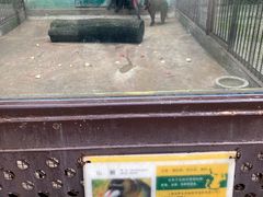 -昆明动物园