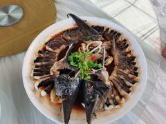 -京北渔家傲