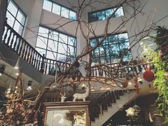 -发现花馆西餐厅FA Restaurant