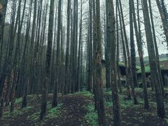 -山王坪喀斯特国家生态公园