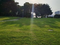 -深圳湾公园(南山区)