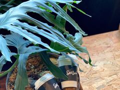 -Seesaw Coffee(朝阳大悦城店)