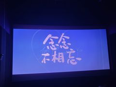 -临泉大地影城(大润发店)