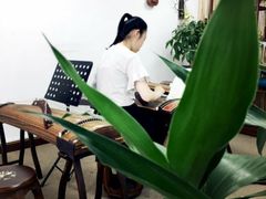 -六艺琴馆钢琴·古筝·古琴·琵琶