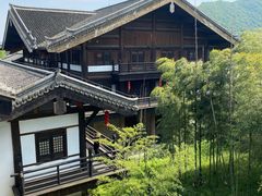-大唐贡茶院