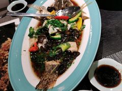 -梧桐花园餐厅(新城店)