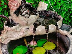 -惠粤轩茶餐厅(中山北路店)