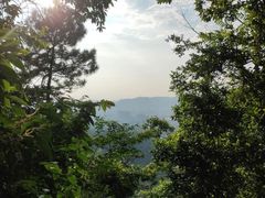 -火炉山森林公园