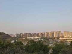 -飞凤山奥体公园