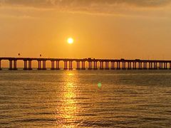 -宝安西湾红树林湿地公园