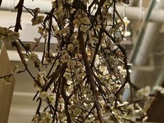 -梅花境(万科店)