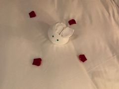 -厦门悦华酒店