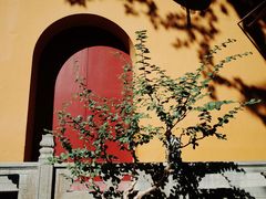 -杭州上天竺法喜讲寺