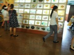 -国家五钻酒家·西樵旺阁渔村(西樵店)