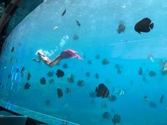 -瑞德姆美人鱼海底演艺主题餐厅(亚龙湾店)