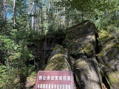 -汤旺河林海奇石景区