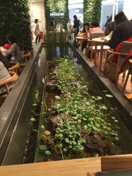 -悦诗风吟innisfree