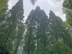 -上海怡沁园度假酒店