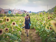 -美的鹭湖森林度假区