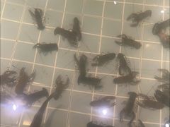 -虾胡闹龙虾馆(湄南河店)