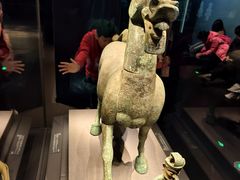 -广西壮族自治区博物馆