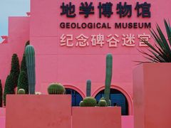 -漳州滨海火山岛自然生态风景区