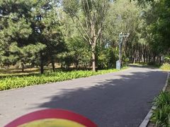-东郊湿地公园