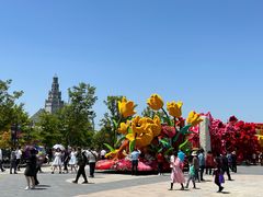-荷兰花海