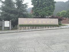 -铁山坪森林公园