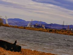 -永定河休闲森林公园