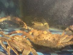 -陶陶居·雅园(凯华国际店)