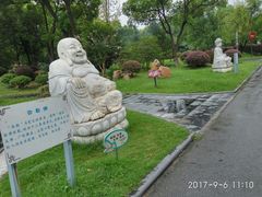 -华西村