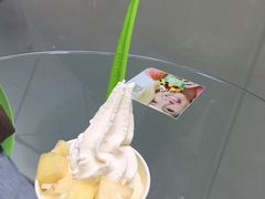 -Salud撒露欧洲冻酸奶(蓝色港湾店)