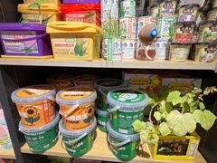 -九木杂物社(大族广场店)