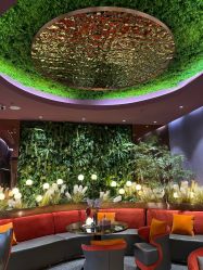 -花隐·美芙炫海菲秀皮肤管理中心