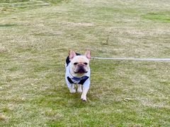 -大胃姐·路边牛杂(南吴路店)