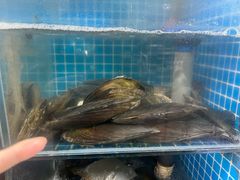 -宾朋海鲜特色美食餐厅·纯手工鲅鱼水饺(兴海路店)