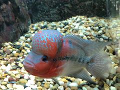 -石林冰雪海洋世界